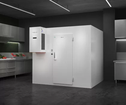 viessmann