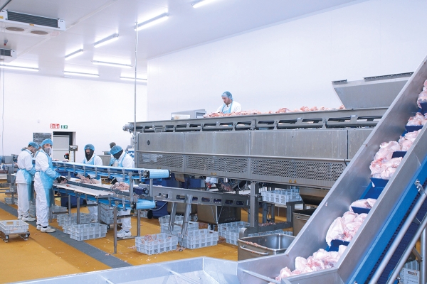 heyteculudagfoodlogistiek.jpg