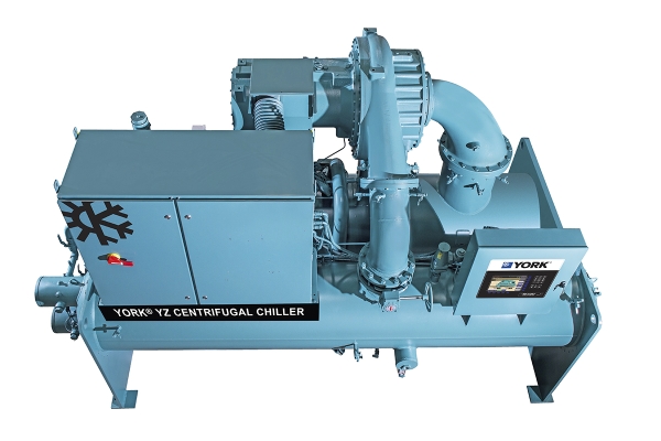 yorkcelanese3.jpg