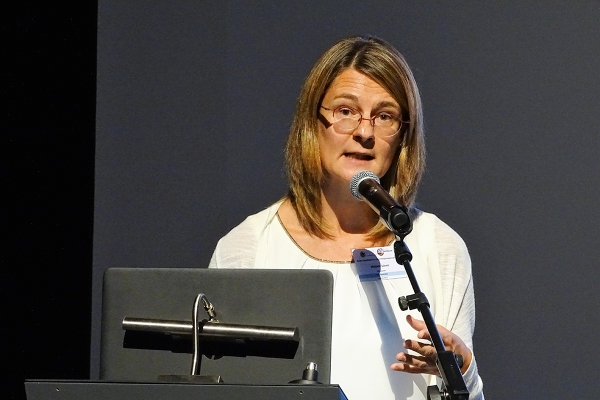 6e.jpg