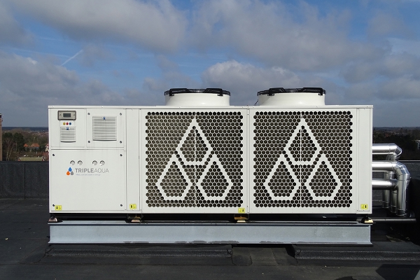2h.jpg