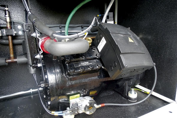 3b.jpg