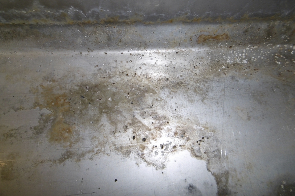 p1000866.jpg