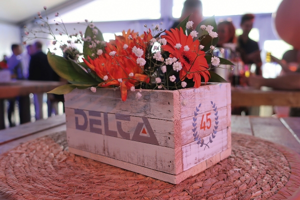 deltatechnics3a.jpg